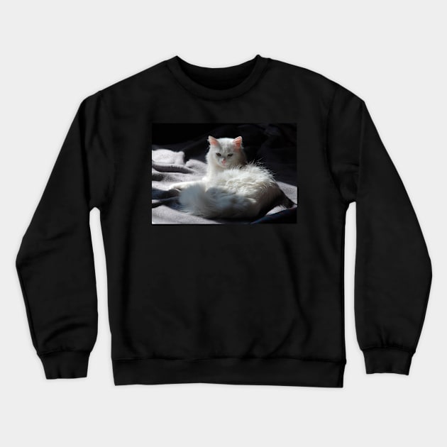 White Cat on Grey Blanket Crewneck Sweatshirt by jojobob